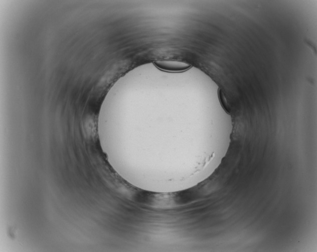 X0000103300335200809122035