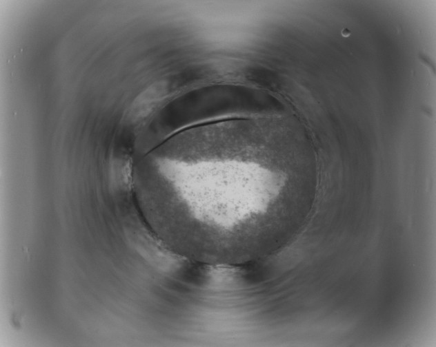 X0000103300336200809122035