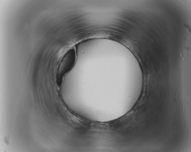 X0000103300337200809122034