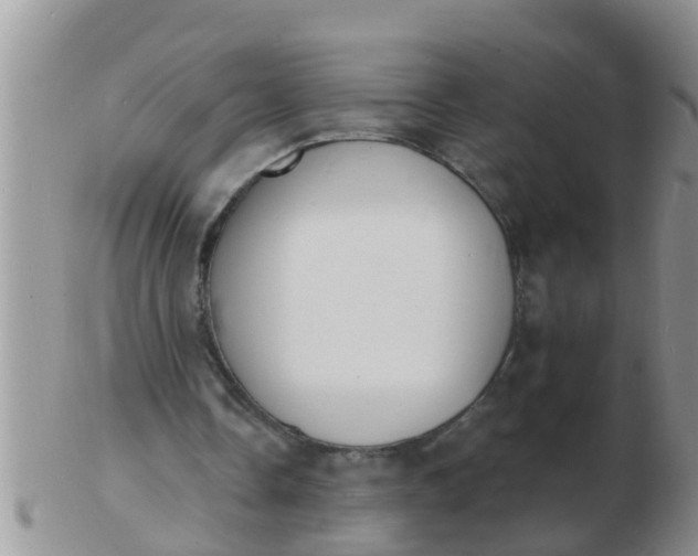 X0000103300338200809122034