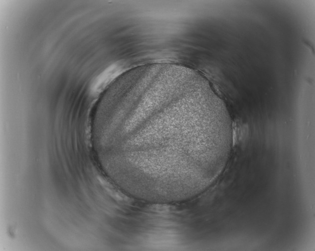 X0000103300339200809122034