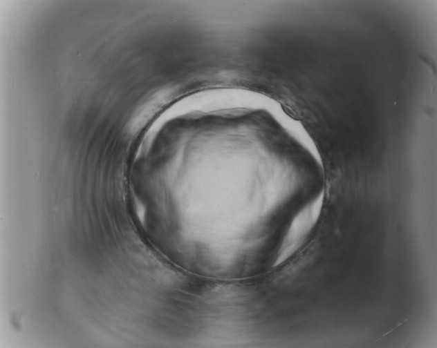 X0000103300341200809122034