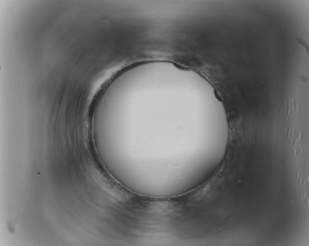 X0000103300342200809122034