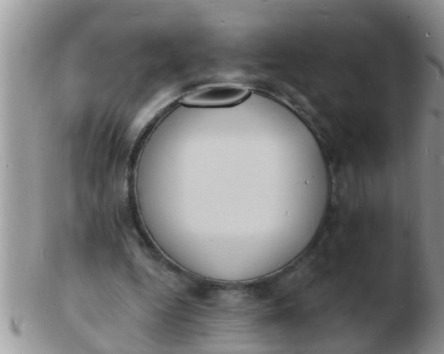 X0000103300344200809122034