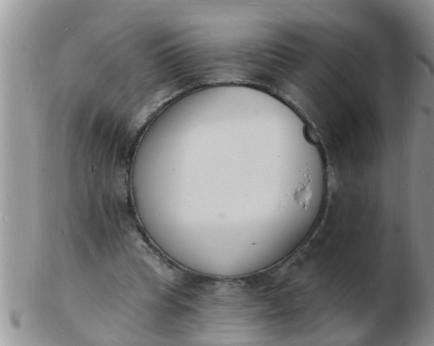 X0000103300345200809122034