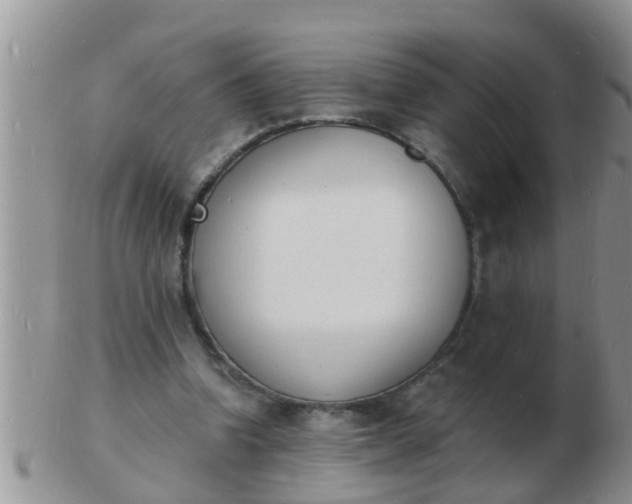 X0000103300346200809122034