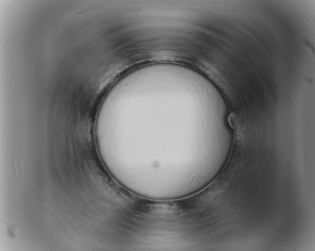 X0000103300347200809122034