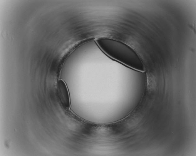 X0000103300348200809122034