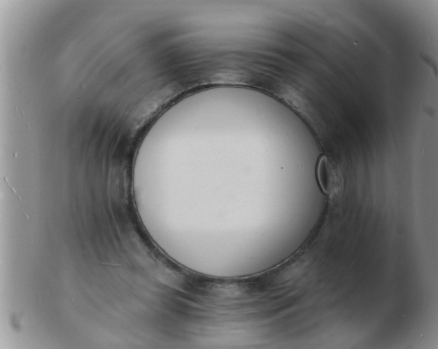 X0000103300349200809122034