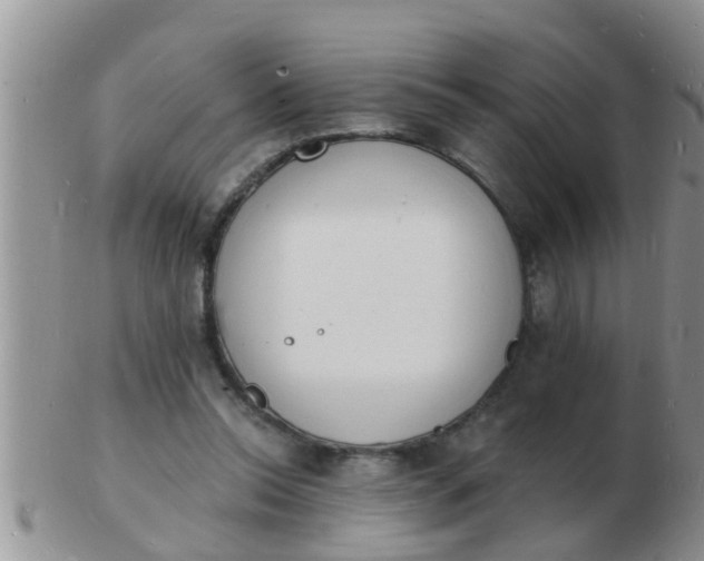 X0000103300350200809122034