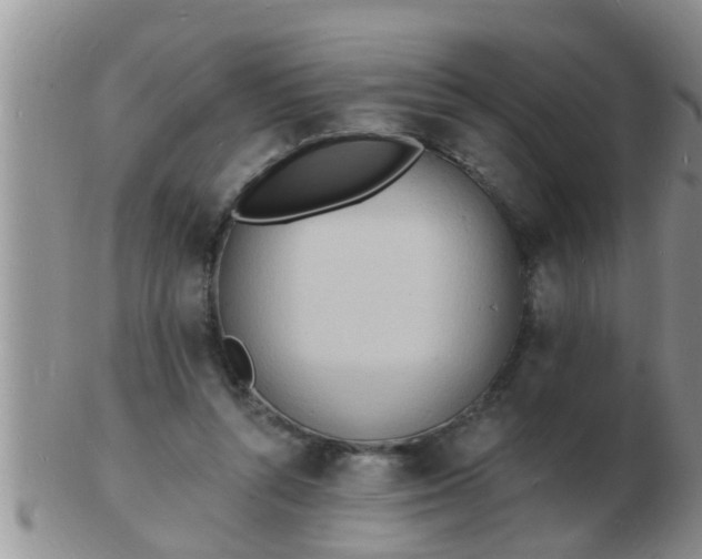 X0000103300352200809122034