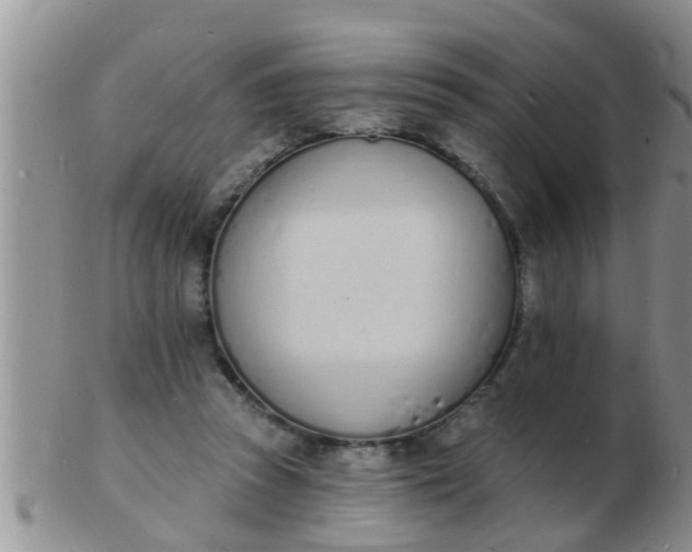 X0000103300353200809122034