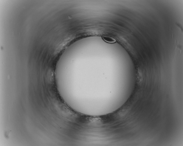 X0000103300355200809122035