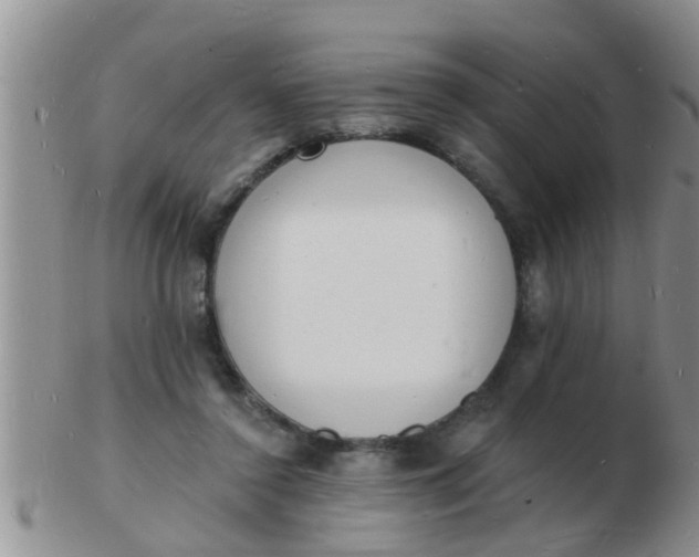 X0000103300356200809122035