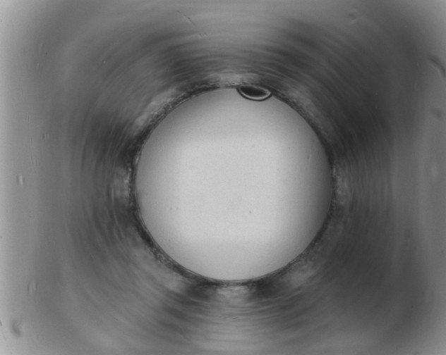 X0000103300357200809122035