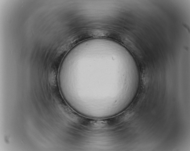 X0000103300359200809122035