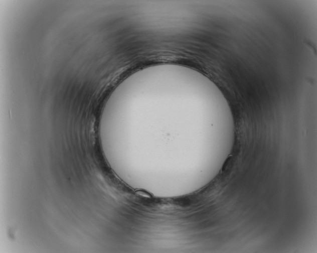 X0000103300360200809122035