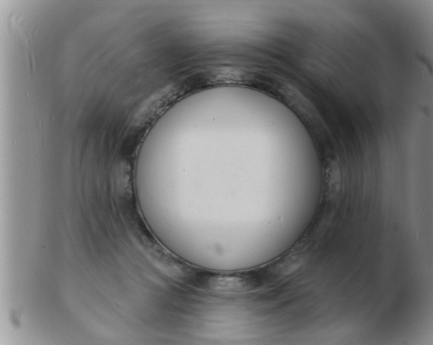 X0000103300361200809122035