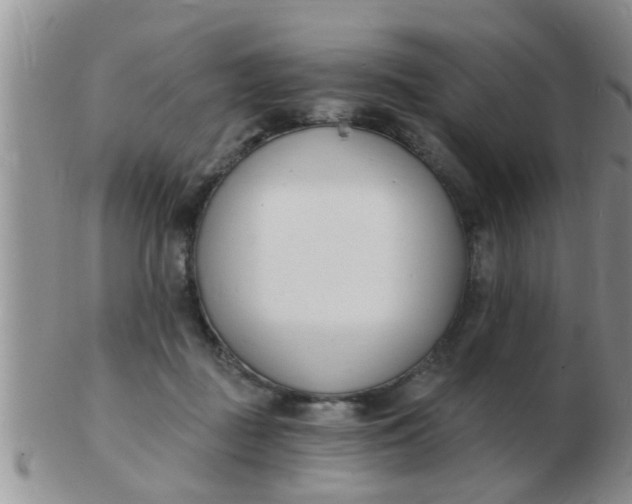 X0000103300363200809122035