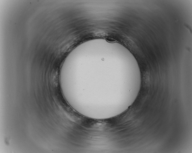 X0000103300364200809122035