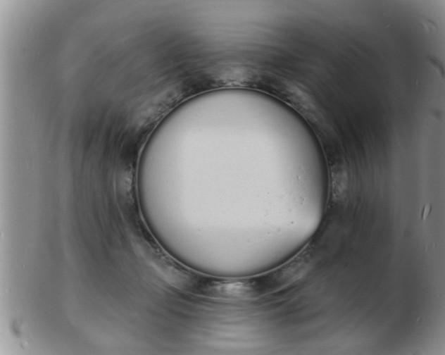 X0000103300365200809122035