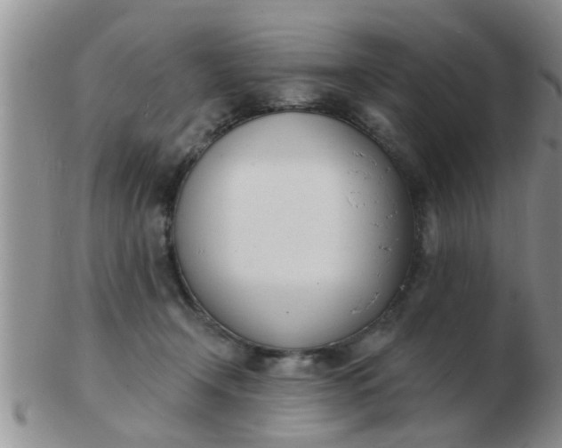 X0000103300366200809122035