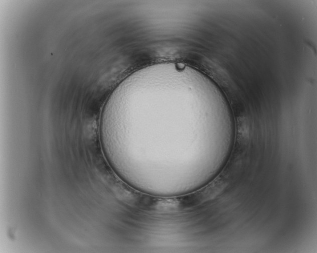 X0000103300369200809122035