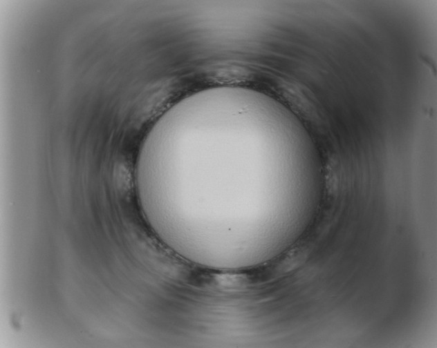 X0000103300371200809122035