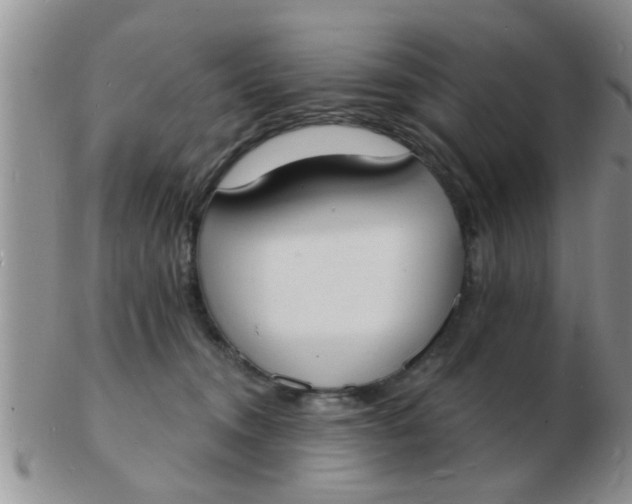 X0000103300372200809122035