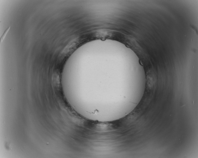 X0000103300375200809122035