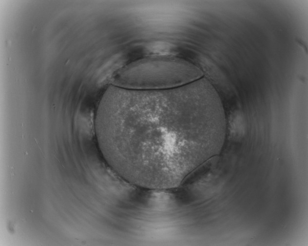 X0000103300376200809122035