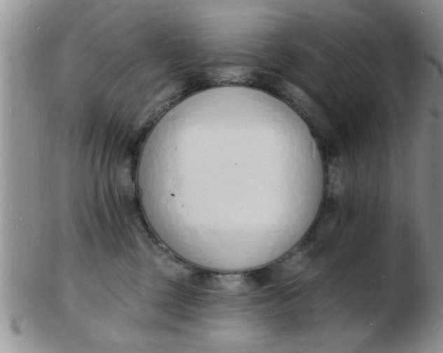 X0000103300377200809122035