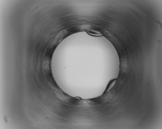 X0000103300379200809122035