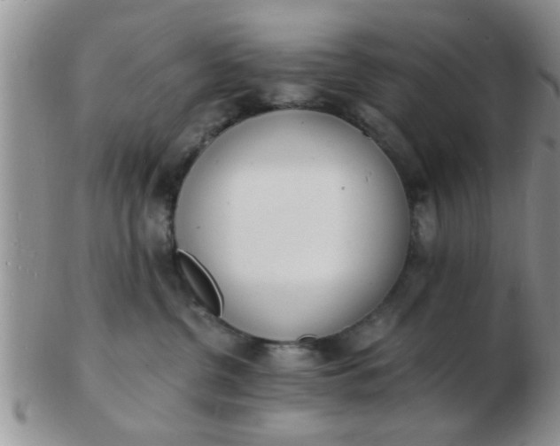 X0000103300380200809122035