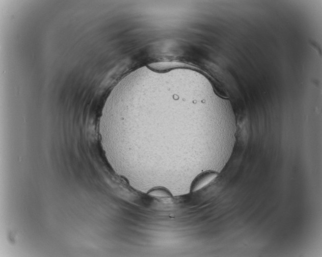 X0000103300381200809122035