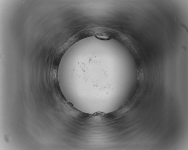 X0000103300382200809122035