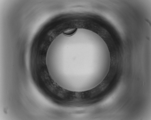 X0000103300383200809122035