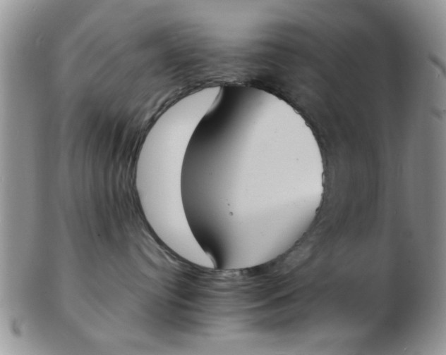 X0000103300384200809122035