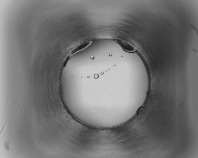 X0000103300385200809122034