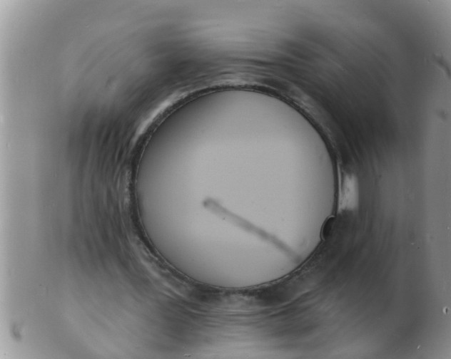 X0000103300387200809122034