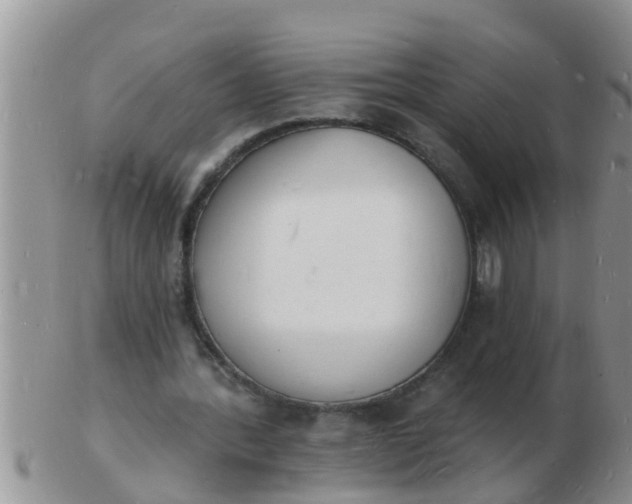 X0000103300388200809122034