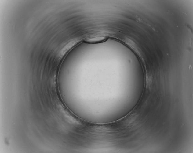 X0000103300389200809122034