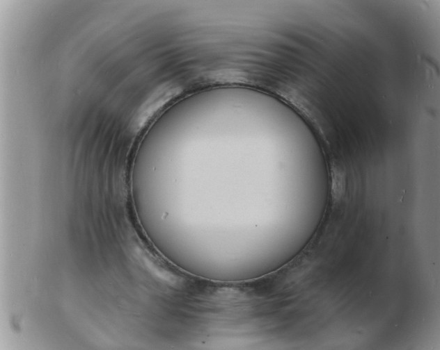 X0000103300390200809122034