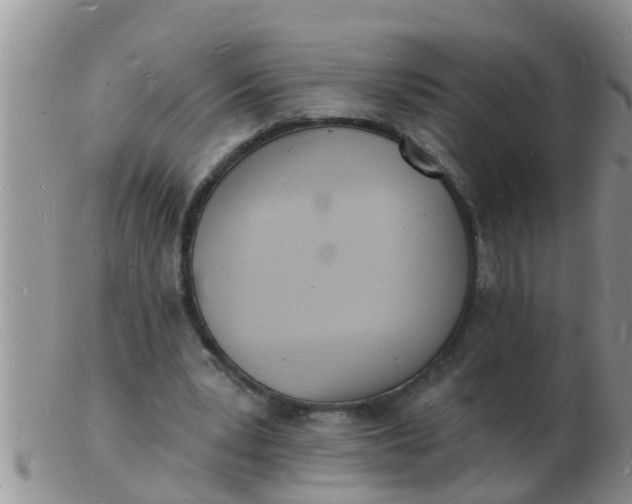 X0000103300391200809122034