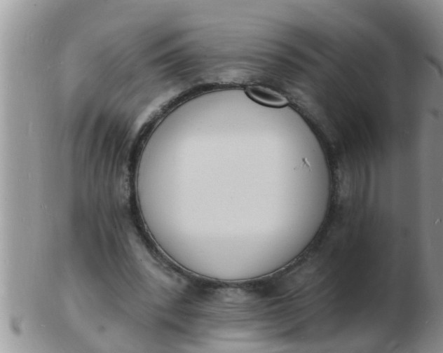 X0000103300392200809122034