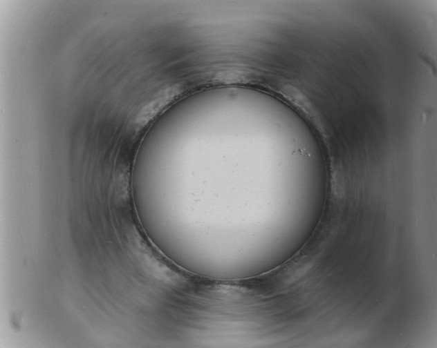 X0000103300393200809122034