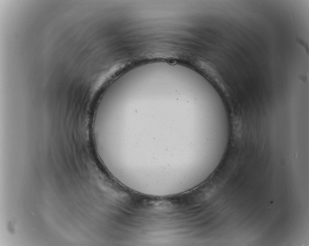 X0000103300395200809122034