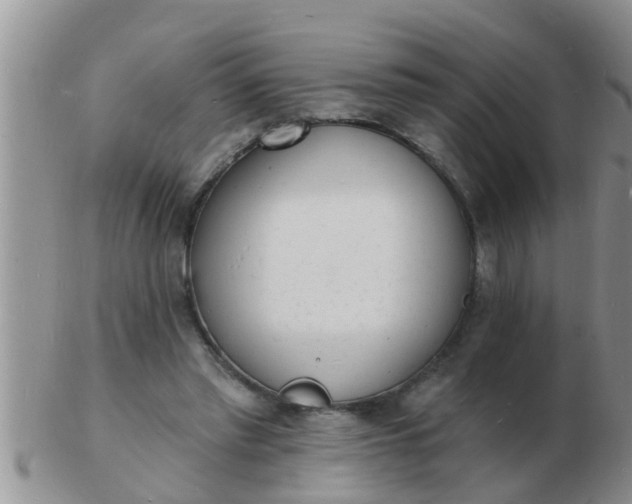 X0000103300397200809122034