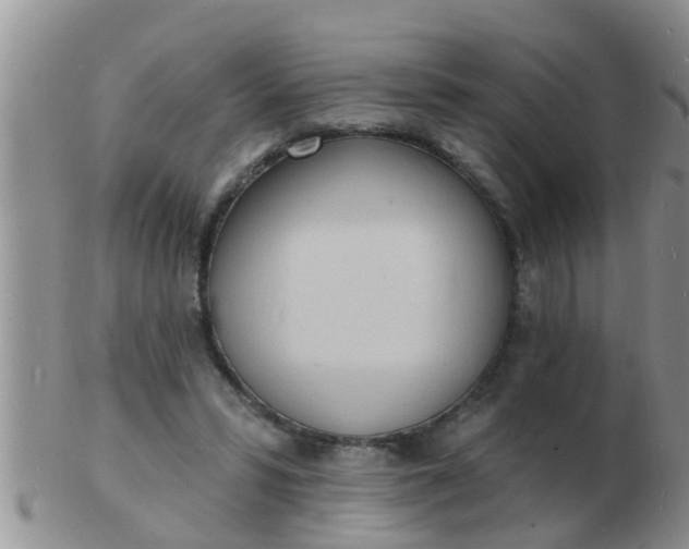 X0000103300399200809122034