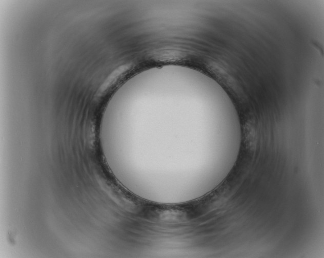 X0000103300400200809122034